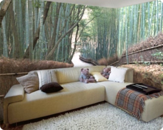 Фотообои для дизайна гостиной