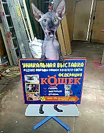Креативный штендер для рекламы выставки кошек